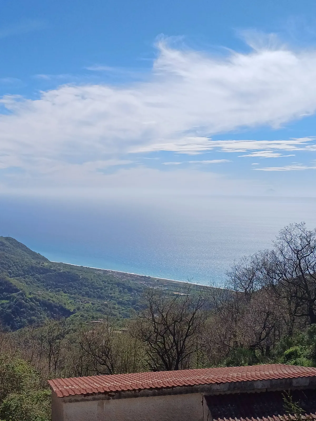 Vista limpida dal mare verso la costa nei pressi della struttura